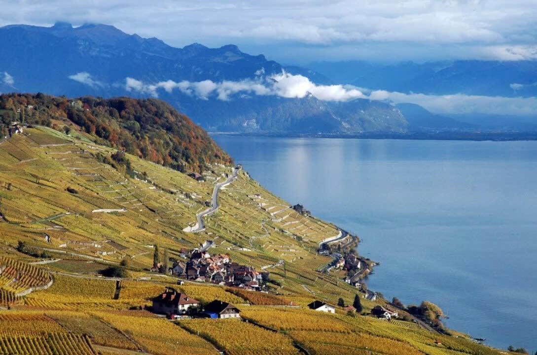 Rose In The Center Of By Guestlee Vila Montreux